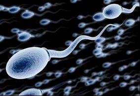 滑精的是什么引起的？