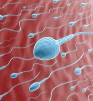 导致少精症的原因有哪些呢?