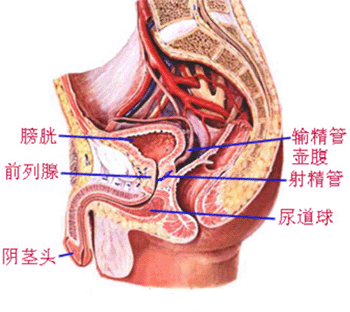 资阳祝奥运会圆满成功