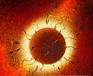 资阳治疗男性少精多少钱?