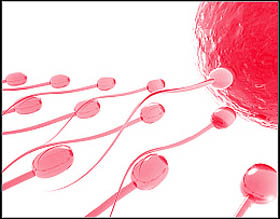 血精症会给男性带来怎样的伤害?