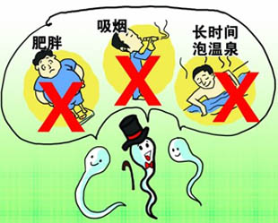 男性精子的死与谁有关?