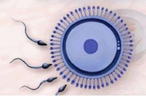 资阳治疗少精症需要多少钱?