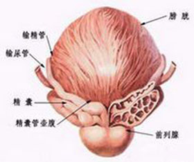 如何诊断前列腺痛